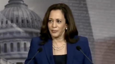 Kamala Harris Plagiarism Allegations: New Claims Surface from 2007 to 2012